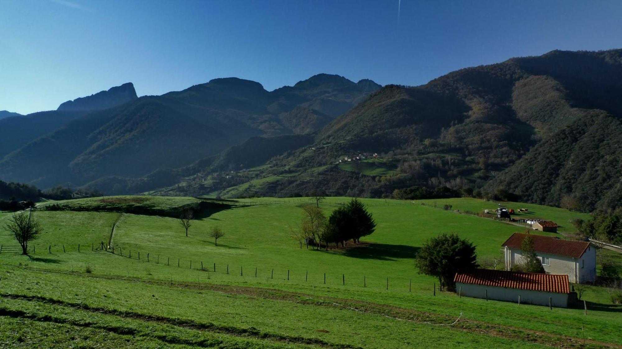 Posada Valle Del Oso Lerones Dış mekan fotoğraf